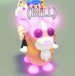 Billy Goat, Trade Roblox Adopt Me Items