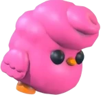 Poussin barbes à papa