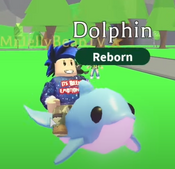 Neon Dolphin