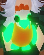 Un Quebrantahuesos neón.