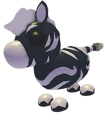 Ash Zebra