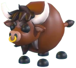 Rodeo Bull