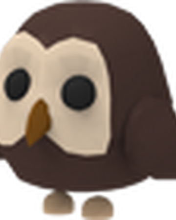 Owl Adopt Me Wiki Fandom
