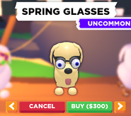 Spring Glasses on a Dog