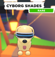 The Cyborg Shades on a Dog.