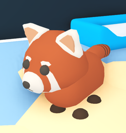 Red Panda Adopt Me Wiki Fandom - roblox adopt me pets red panda