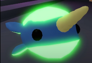 A Neon Narwhal.