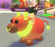 The Neon Lunar Ox.