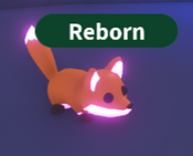 Neon Red fox