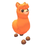 Alpaca