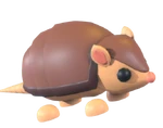 Armadillo