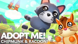 Raccoon, Adopt Me! Wiki