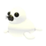 ハープアザラシ
