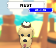 The Nest on a Dog.