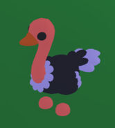 Ostrich | Adopt Me! Wiki | Fandom