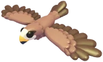 Black Kite