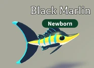 Black Marlin in-game.png (62 KB) The Black Marlin in-game.