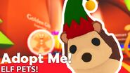 The Elf Hedgehog on the Elf Pets Thumbnail.