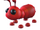 Hormiga