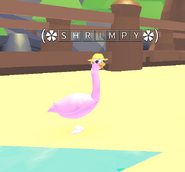 The Flamingo in-game.