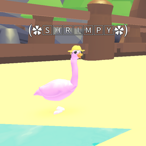 Discuss Everything About Adopt Me Wiki Fandom - im really mad at roblox rn flamingo