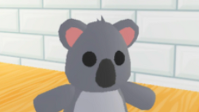 Koala | Adopt Me! Wiki | Fandom