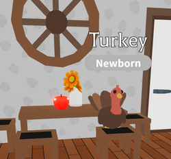 Turkey Adopt Me Wiki Fandom - how to become a turkey in roblox