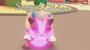 Mega Neon Sugar Glider.png (426 KB) A Mega Neon Sugar Glider.