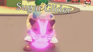 Mega Neon Sugar Glider (Legendary)