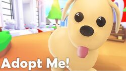 Bloodhound, Adopt Me! Wiki