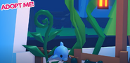 The teaser image of the Dolphin.