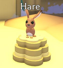 Hare, Adopt Me! Wiki