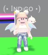 A player holding the Gender Fluid Flag.