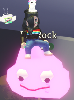 Pet Rock Adopt Me Wiki Fandom