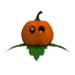 AM Pumpkin Pet