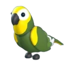 Green Amazon
