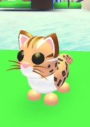 The Leopard cat in-game.png (75 KB) The Leopard Cat in-game.
