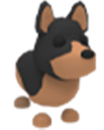 Australian Kelpie Adopt Me Wiki Fandom Grab a marker, paper, and two colored pencils (grey and black) then follow along with me. australian kelpie adopt me wiki fandom