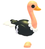 Ostrich