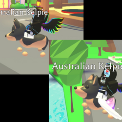 Kiwi, Adopt Me! Wiki