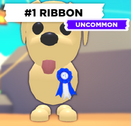 1st Place Ribbon on a Dog