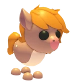 Show Pony