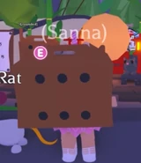 A player holding the Rat Box.