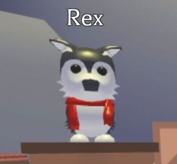 Rex