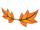 Eco Orange Maple Leaf Mustache