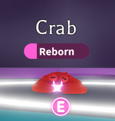Neon Crab (Uncommon)