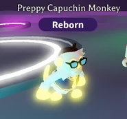 Preppy Capuchin Monkey (Pet) | Adopt Me! Wiki | Fandom