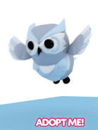 Teaser image of the Snow Owl