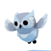 Ylel9mjpetcwom Also i know snowy owls don't have ear tufts. https adoptme fandom com wiki snow owl