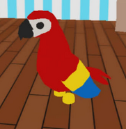 A Parrot in-game